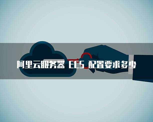 阿里云服务器 ECS 配置要求多少