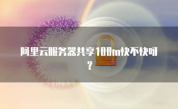 阿里云服务器共享100m快不快呀?