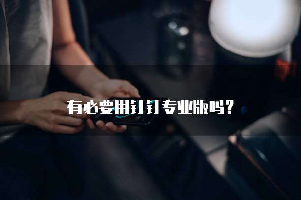 有必要用钉钉专业版吗？