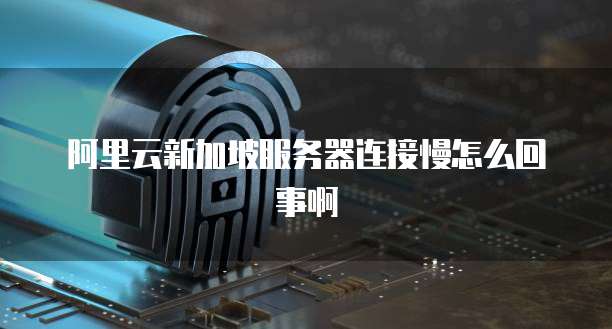 阿里云新加坡服务器连接慢怎么回事啊