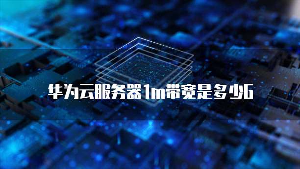 阿里云服务器在哪看网速多少啊？