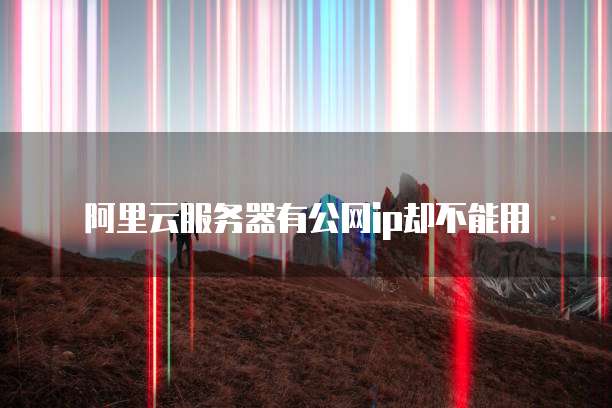 阿里云服务器有公网ip却不能用