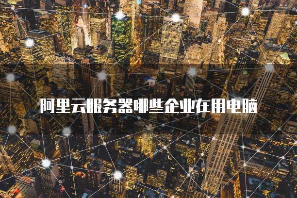 阿里云服务器哪些企业在用电脑