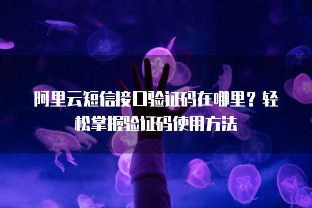 阿里云短信接口验证码在哪里？轻松掌握验证码使用方法