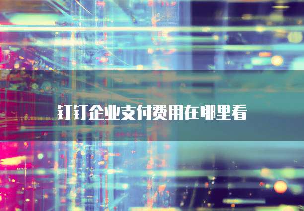 钉钉企业支付费用在哪里看