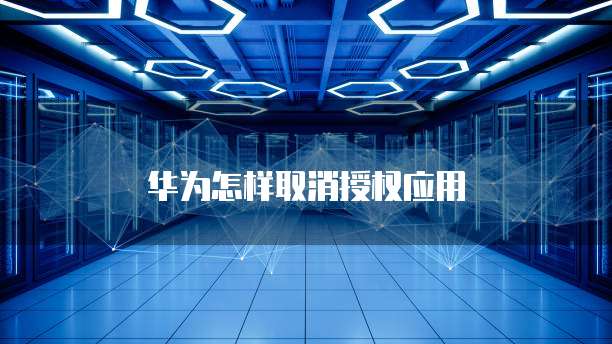 阿里云独立服务器租用多少钱