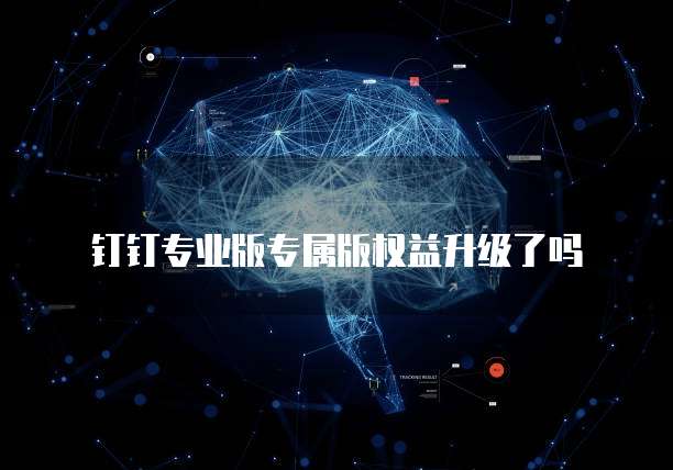 钉钉专业版专属版权益升级了吗