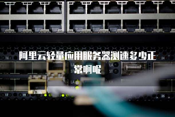 阿里云轻量应用服务器测速多少正常啊呢