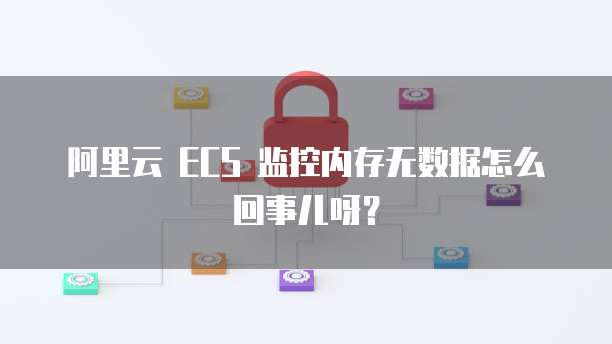 阿里云 ECS 监控内存无数据怎么回事儿呀?