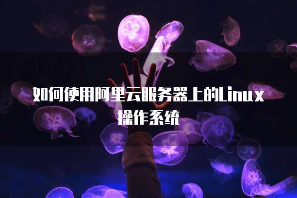 阿里云 CDN 成立时间是哪一年