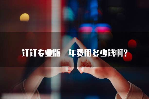 钉钉专业版一年费用多少钱啊?