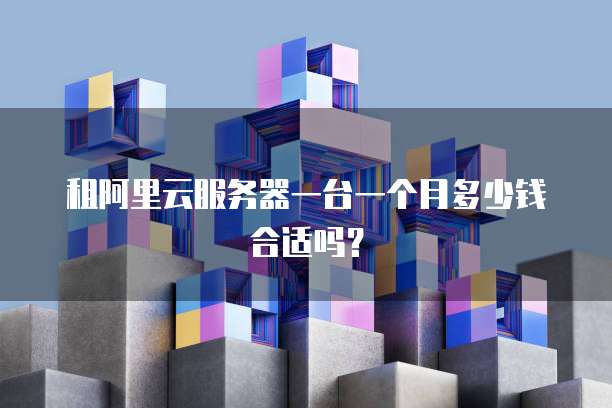 租阿里云服务器一台一个月多少钱合适吗？