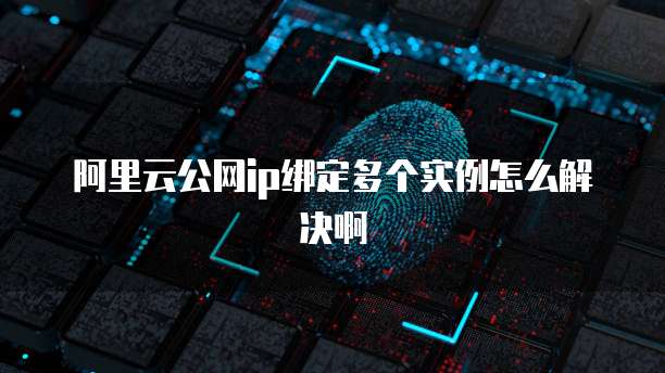 阿里云公网ip绑定多个实例怎么解决啊