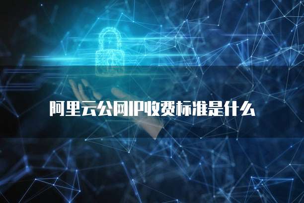 阿里云公网IP收费标准是什么