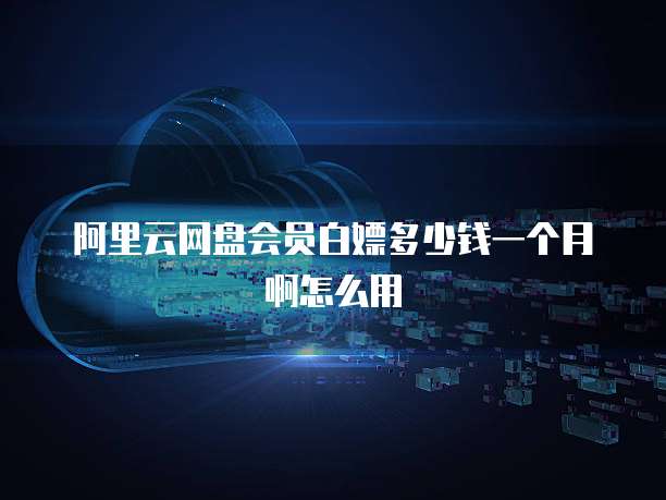 阿里云网盘会员白嫖多少钱一个月啊怎么用