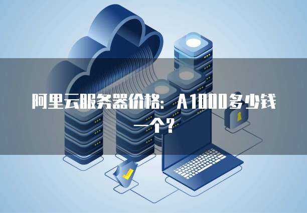 阿里云服务器价格:A1000多少钱一个?