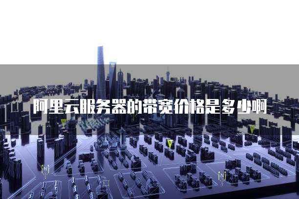 阿里云服务器的带宽价格是多少啊