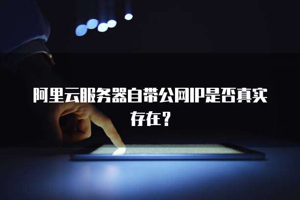 阿里云服务器自带公网IP是否真实存在？
