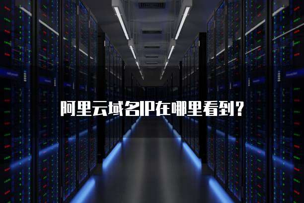阿里云域名IP在哪里看到?