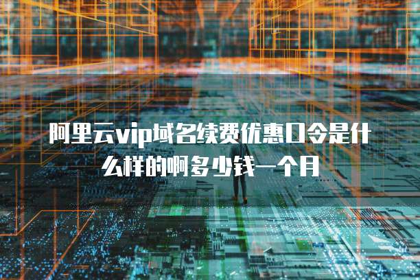 阿里云vip域名续费优惠口令是什么样的啊多少钱一个月