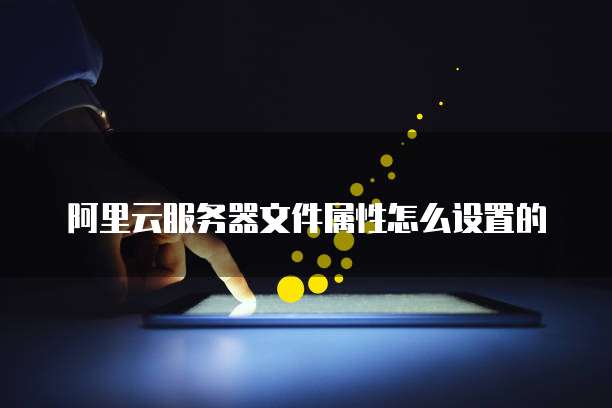 阿里云服务器文件属性怎么设置的