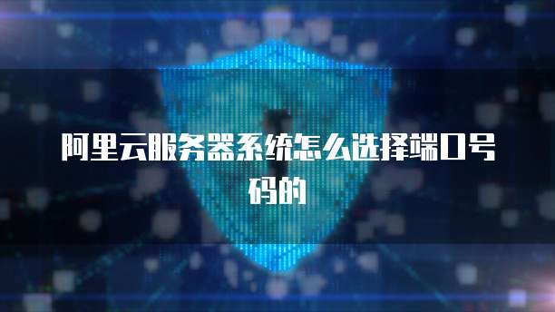 阿里云服务器系统怎么选择端口号码的