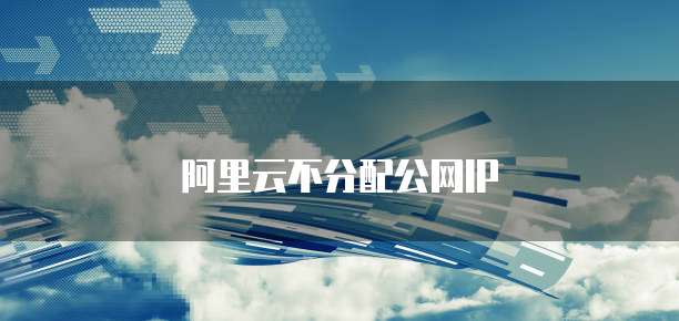 阿里云不分配公网IP