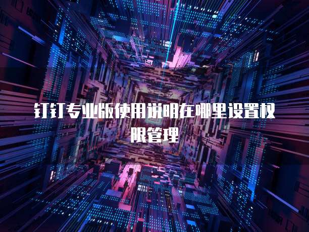 钉钉专业版使用说明在哪里设置权限管理