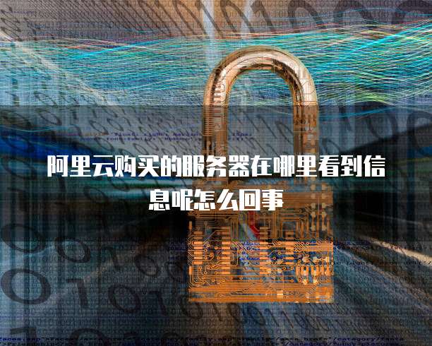 阿里云购买的服务器在哪里看到信息呢怎么回事