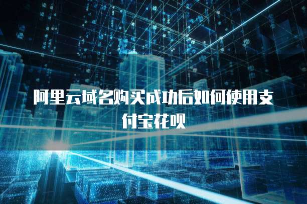 阿里云域名购买成功后如何使用支付宝花呗