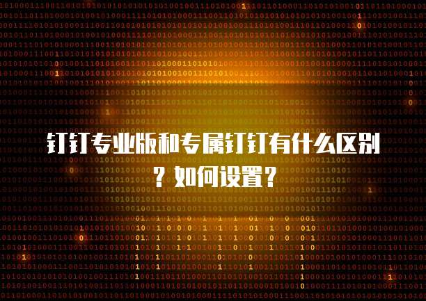 钉钉专业版和专属钉钉有什么区别?如何设置?