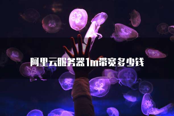 阿里云服务器1m带宽多少钱