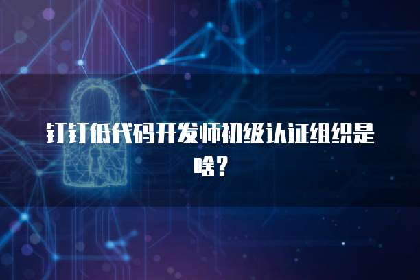 钉钉低代码开发师初级认证组织是啥?