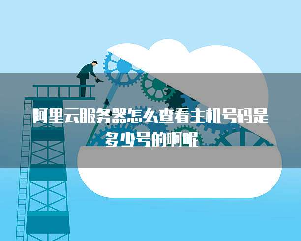 阿里云服务器怎么查看主机号码是多少号的啊呢