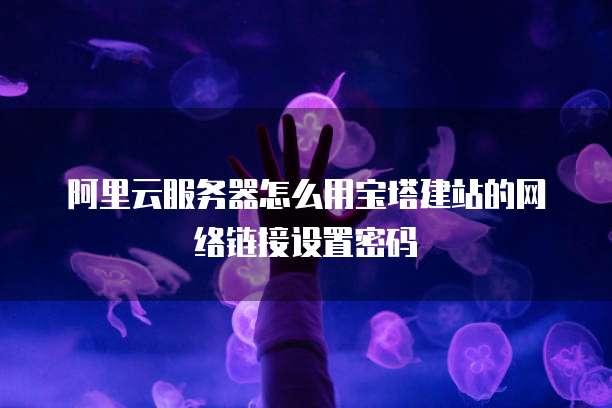 阿里云服务器怎么用宝塔建站的网络链接设置密码