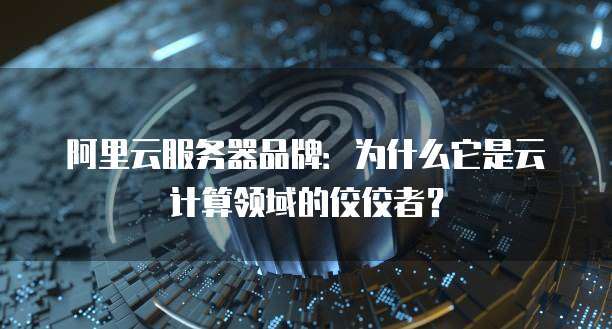 阿里云服务器品牌:为什么它是云计算领域的佼佼者?