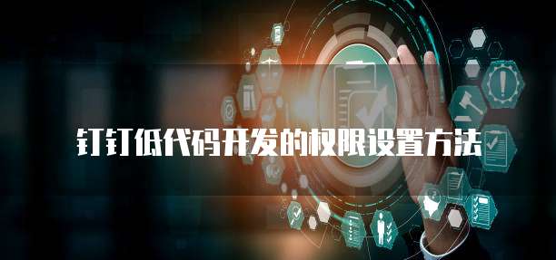 钉钉低代码开发的权限设置方法