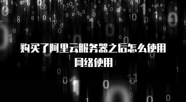 购买了阿里云服务器之后怎么使用网络使用
