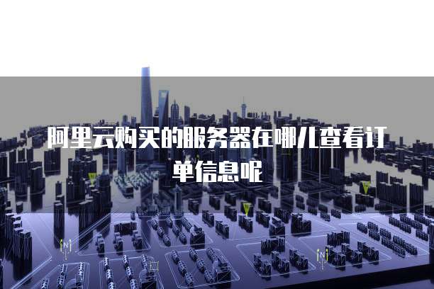 阿里云购买的服务器在哪儿查看订单信息呢