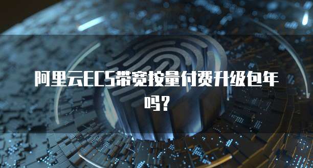阿里云ECS带宽按量付费升级包年吗?