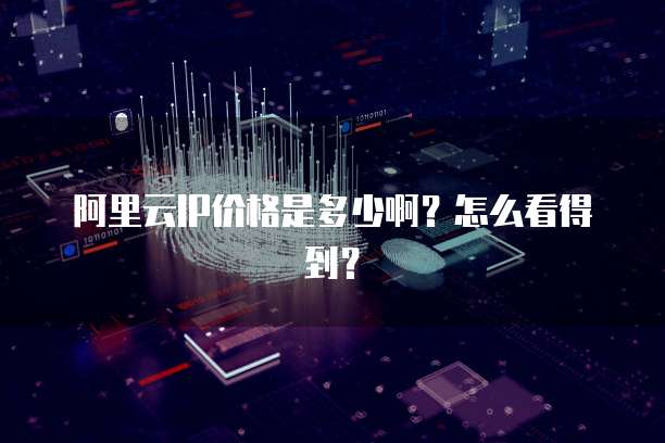 阿里云IP价格是多少啊？怎么看得到？