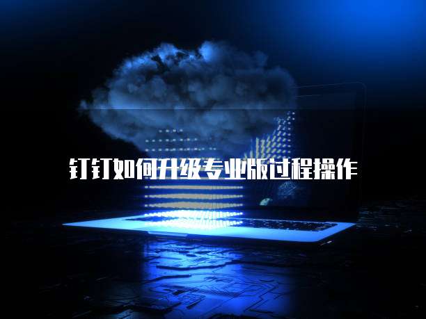 钉钉如何升级专业版过程操作