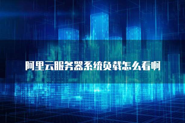 阿里云服务器系统负载怎么看啊