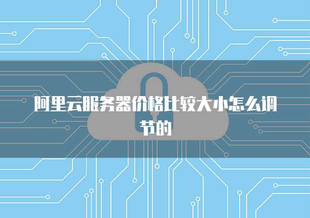 阿里云服务器价格比较大小怎么调节的