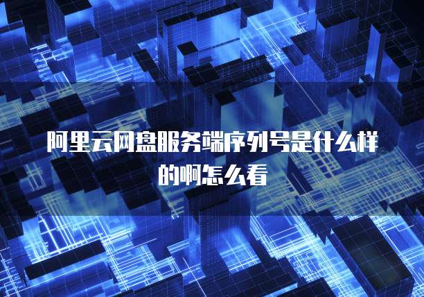 阿里云网盘服务端序列号是什么样的啊怎么看