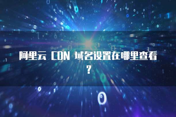 阿里云 CDN 域名设置在哪里查看?