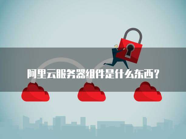 阿里云服务器组件是什么东西?
