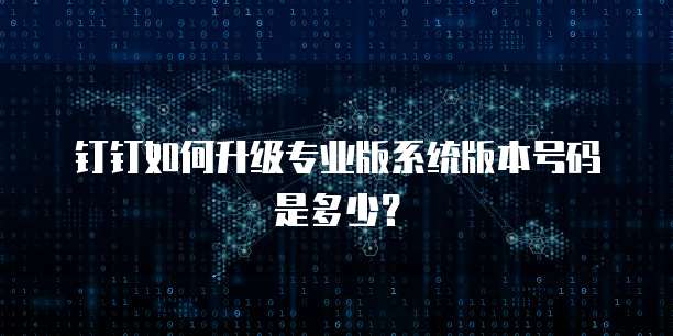 钉钉如何升级专业版系统版本号码是多少？