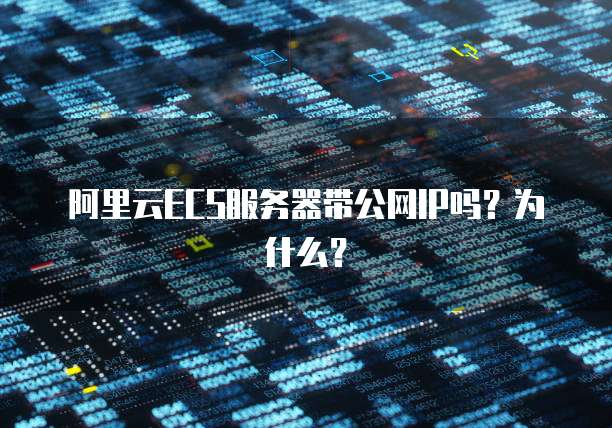 阿里云ECS服务器带公网IP吗?为什么?