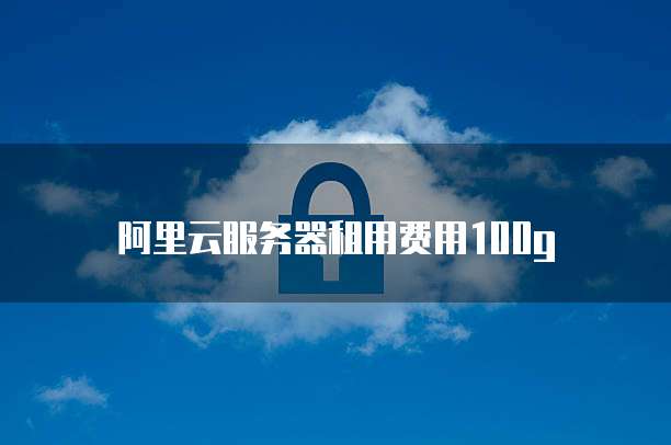 阿里云服务器租用费用100g